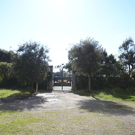 Villa Anselmi - Arteindiretta Livorno Bagian luar foto